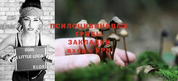 СК Киренск